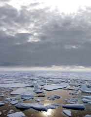 arctic1.jpg